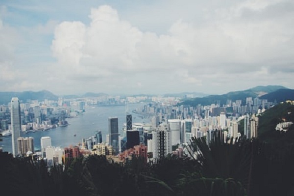 香港公司审计类型和会计师意见